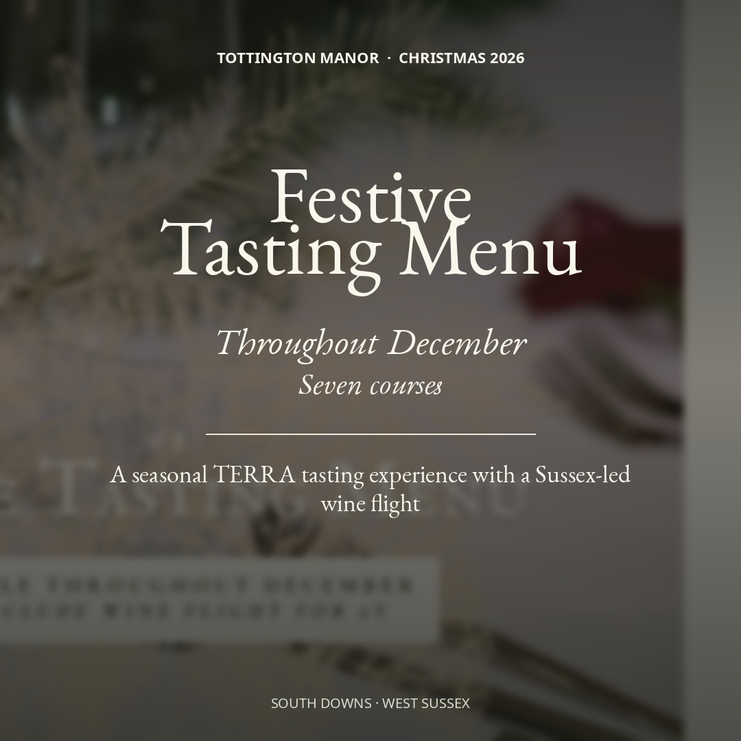 Festive Tasting Menu at TERRA Restaurant