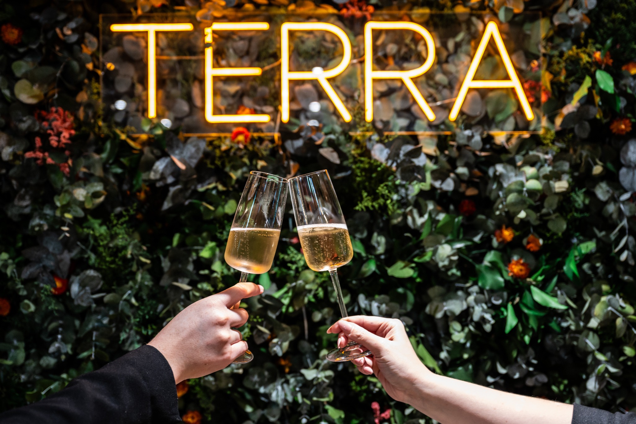 Sparkling wine poured beneath the TERRA sign at Tottington Manor