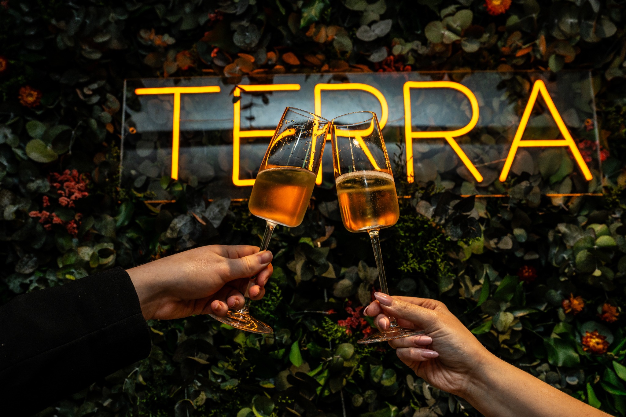 Guests raising glasses of sparkling wine beneath the TERRA sign