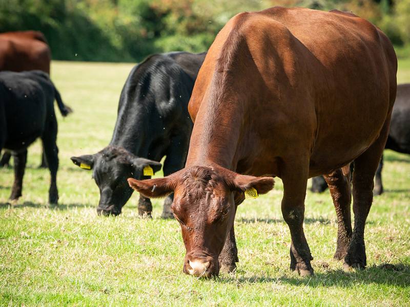 Intimate Farm Weddings in the Countryside of the South Downs National Park near Brighton